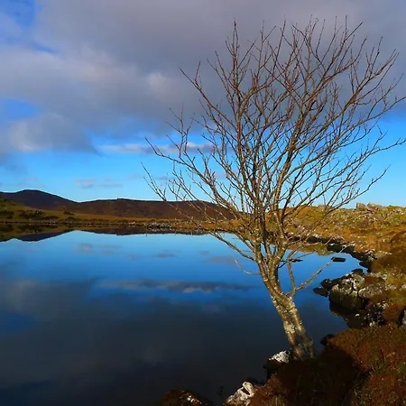 ゲストハウス Keanes Of Curraheen, Bar, Restaurant & トラリー