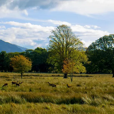 Pensionat Keanes Of Curraheen, Bar, Restaurant &