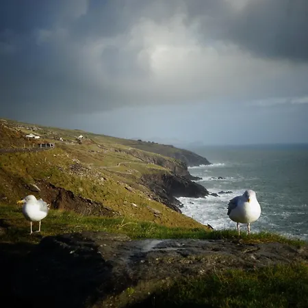 ゲストハウス Keanes Of Curraheen, Bar, Restaurant & トラリー