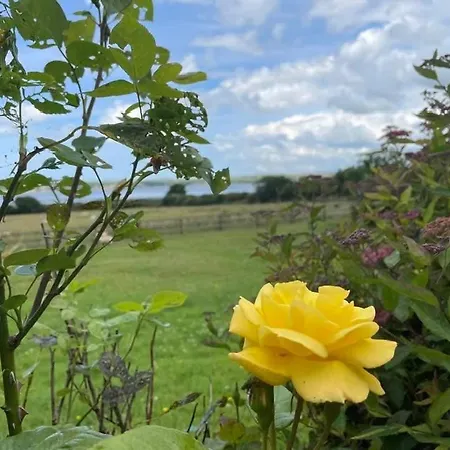 Keanes Of Curraheen, Bar, Restaurant & ゲストハウス トラリー