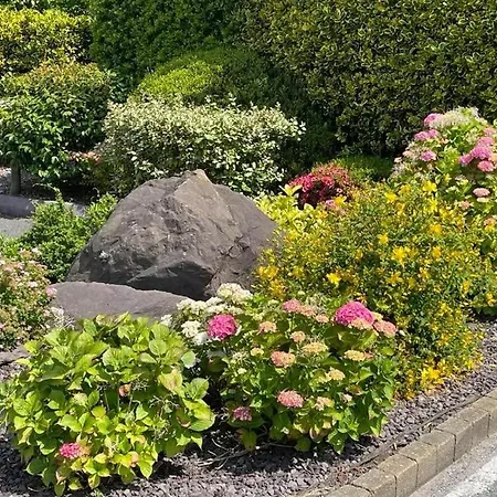 Keanes Of Curraheen, Bar, Restaurant & ゲストハウス